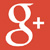 Google+ icon